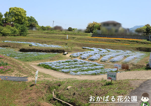 おかばる花公園
