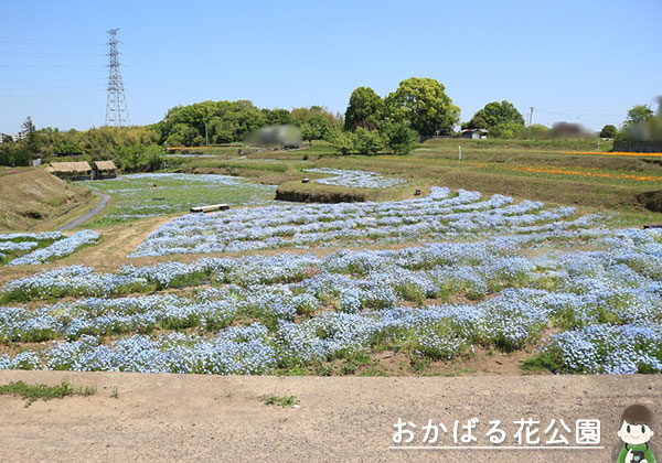 おかばる花公園